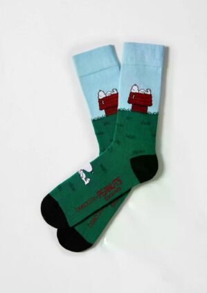 Besocks Socken Besnoopy House